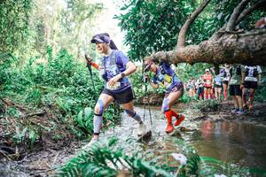 BIB: 
                            <button type="button" onclick="openModal(25516079)" class="btn btn-primary btn-sm float-right btn-popup" data-toggle="modal" data-target=".modal-high-quality">
                        <i class="fas fa-shopping-cart"></i> Add to Cart
                    </button>
                                            <button type="button" onclick="isThisMe(25516079, true)" class="btn btn-success btn-sm float-right btn-popup btn-isme hidden" data-toggle="tooltip" data-placement="bottom" title="นี่คือรูปของคุณใช่ไหม คลิกที่นี่เพื่อเอาเข้าอัลบั้ม">
                        <i class="fas fa-plus"></i> Add to album
                    </button>
                    <button type="button" onclick="isThisMe(25516079, false)" class="btn btn-warning btn-sm float-right btn-popup btn-isnotme hidden">
                        <i class="fas fa-ban"></i> Remove from album
                    </button>